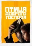 Птица доброго господа 