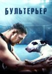  Бультерьер 