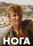  Нога 