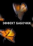  Эффект бабочки 