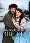 Рождественская звезда 