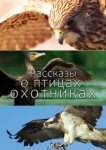  Рассказы о птицах-охотниках 