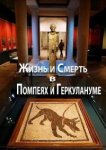  Жизнь и смерть в Помпеях и Геркулануме 