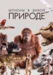  Шпионы в дикой природе 