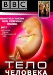  BBC: Тело человека 