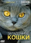  BBC: Загадочные кошки 