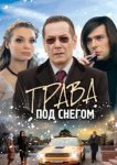  Трава под снегом 