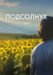  Подсолнух 