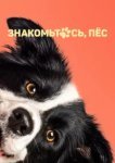  Знакомьтесь, пёс 