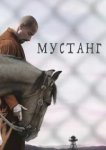  Мустанг 