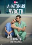 Анатомия чувств