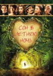  Сон в летнюю ночь 