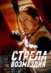  Стрела возмездия 