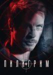  Пилигрим 