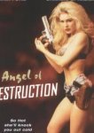  Ангел разрушения 
