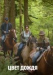  Цвет дождя 