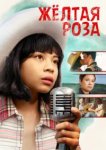  Жёлтая роза 