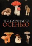  Что случилось осенью 