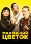  Маленький цветок 
