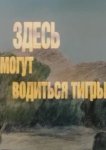  Здесь могут водиться тигры 