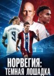 Норвегия: Темная лошадка