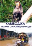  Камбоджа - великие сокровища природы 