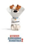 Тайная жизнь домашних животных 2 
