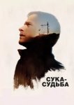  Сука-судьба 