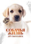  Собачья жизнь: Друзья навек 