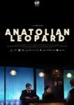  Анатолийский леопард 