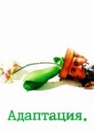  Адаптация 
