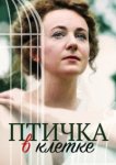  Птичка в клетке 