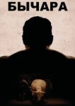  Бычара 