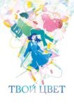  Твой цвет 