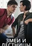  Змеи и лестницы 