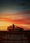  Чудо Саргассова моря 