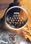  Семь миров, одна планета 