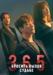  365: Год победы над судьбой 