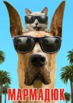  Мармадюк 