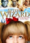  После волшебника 
