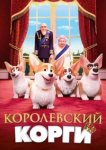  Королевский корги 