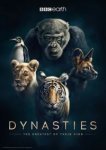  Династии 