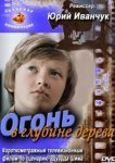  Огонь в глубине дерева 