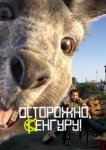  Осторожно, Кенгуру! 