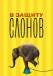  В защиту слонов 