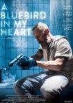  Синяя птица в моём сердце 