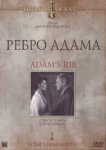  Ребро Адама 