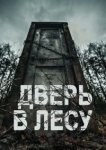 Дверь в лесу 
