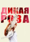  Дикая Роза 