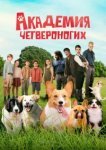  Академия четвероногих 